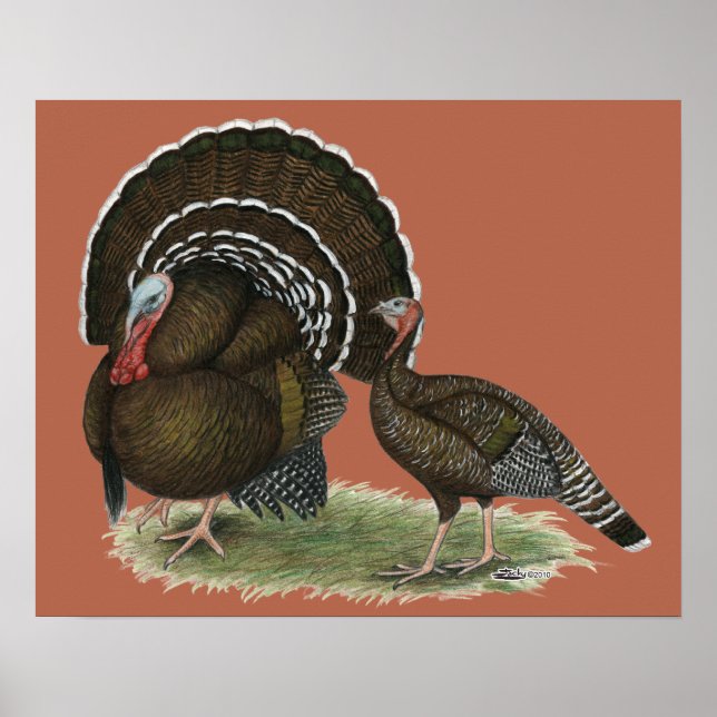 Poster Bronze standard de Turkey (Devant)