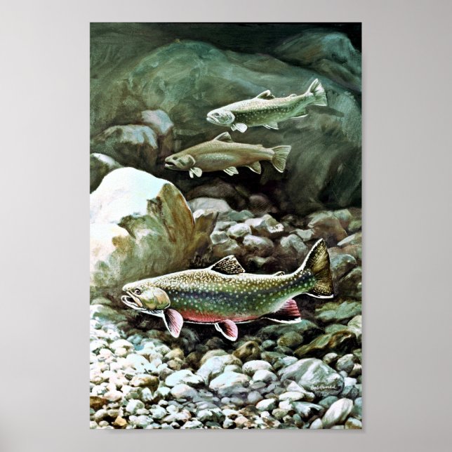 Poster Brook Trout (Devant)