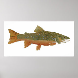 Poster Brook Trout