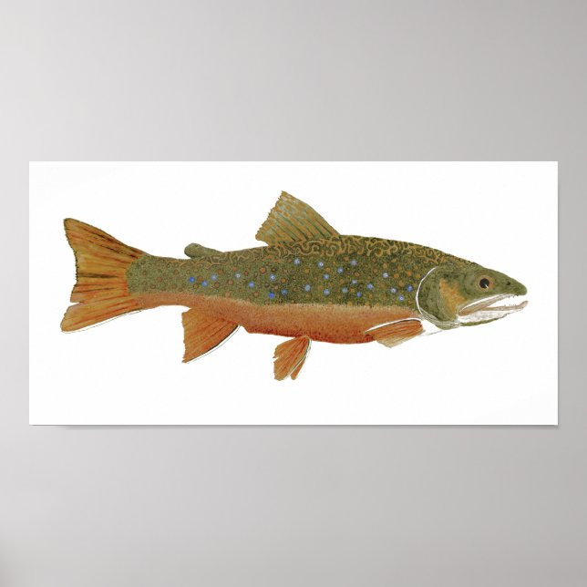 Poster Brook Trout (Devant)
