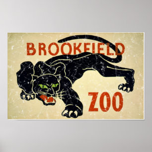 Poster Brookfield Zoo-Panther en détresse