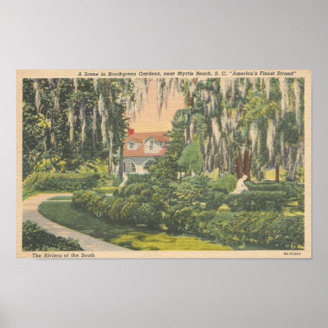 Poster Brookgreen Gardens, Myrtle Beach, carte postale SC (Devant)