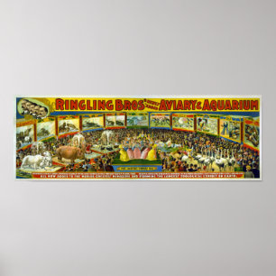 Poster Bros à anneau / Aviaire & Aquarium
