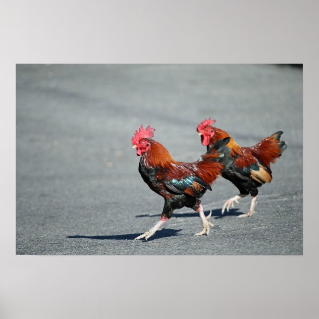 Poster "Bros On a Stroll" (Devant)