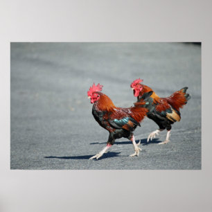 Poster "Bros sur une balade "