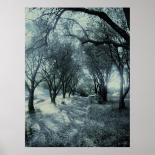 Poster Brouillard d'aube