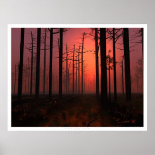 Poster Brouillard de coucher du soleil