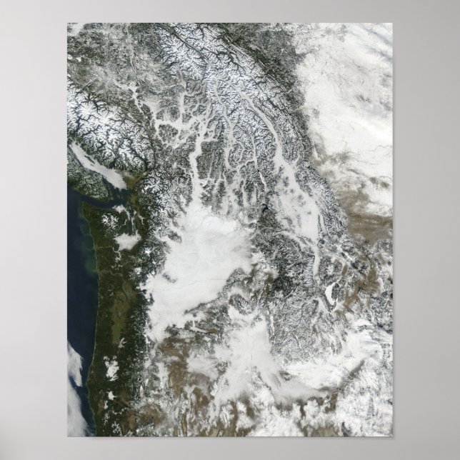 Poster Brouillard et neige dans le Pacifique Nord-Ouest ( (Devant)