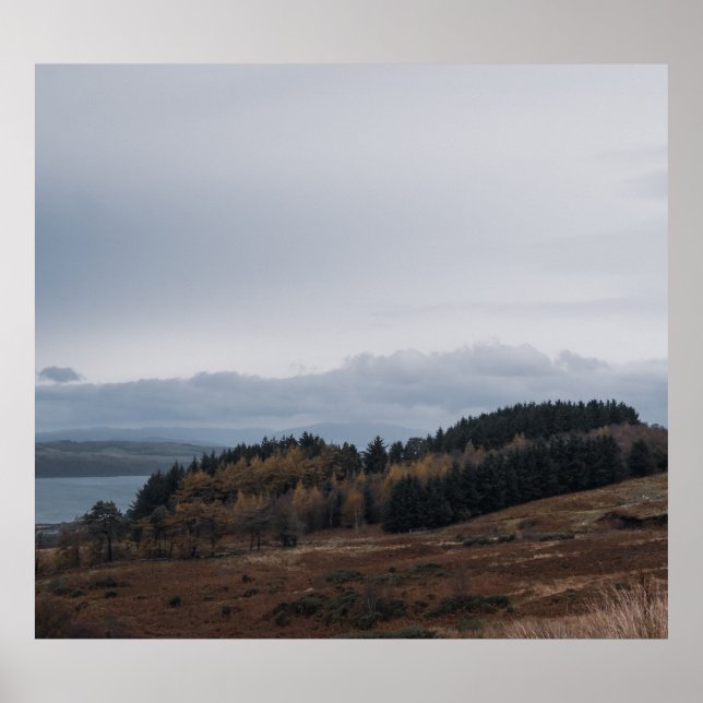 Poster Brouillard matinal (Devant)