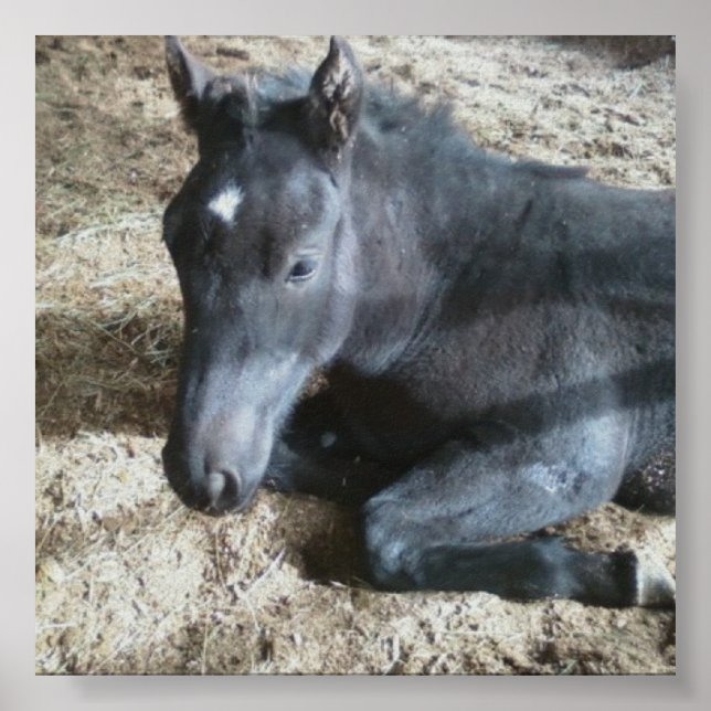 Poster Brouillon (Devant)