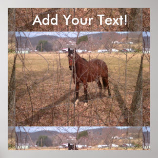 Poster Brown Farm Horse Virginie-Occidentale