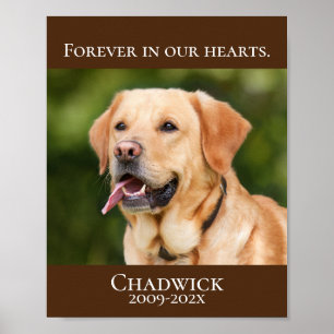 Poster Brown moderne Ajouter photo Pet Memorial