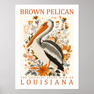 Poster Brown Pélican Bird Louisiana USA Travel