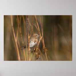 Poster Bruant de la chanson dans le pré