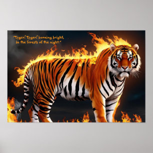 Poster Brûlage du tigre