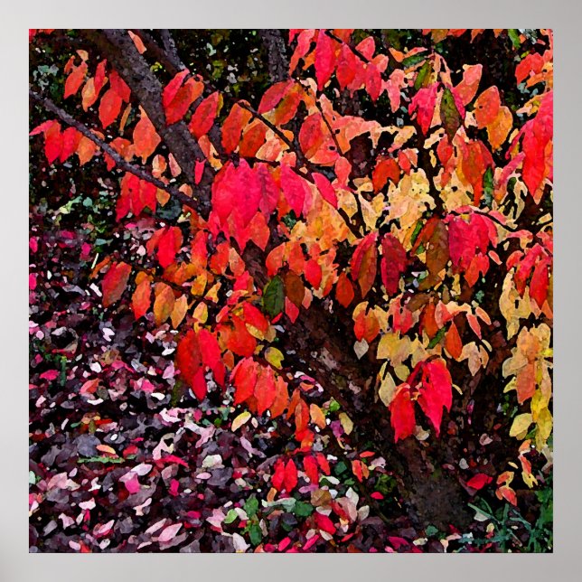 Poster Brûler Bush Abstrait (Devant)