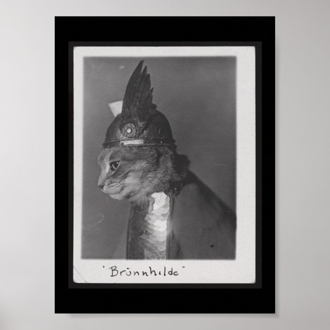 Poster Brunnhilde kitty (Devant)