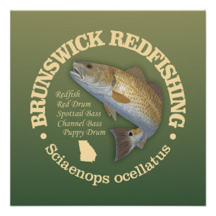 Poster Brunswick GA (sébaste)