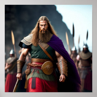 Poster Brynjar le Viking