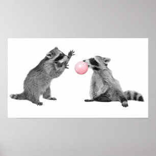 Poster Bubbles De Chewing-Gum Mignons Raton-Laveurs Pour 