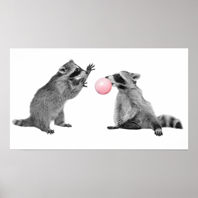 Poster Bubbles de Chewing-gum Mignons Raton Laveurs Pour  (Devant)