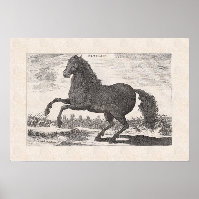 Poster Bucephalus, le cheval favori d'Alexandre le Grand (Devant)