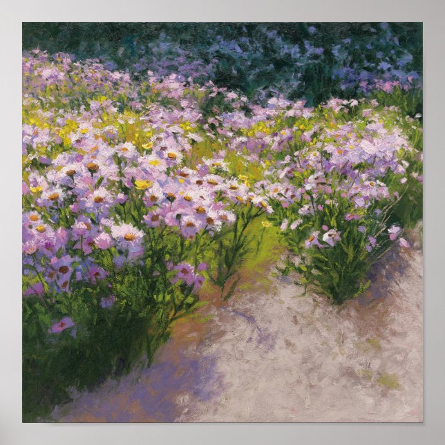 Poster Buckhorn Aster (Devant)