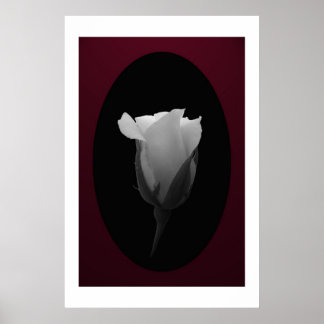 Poster Bud rose (noir et blanc)