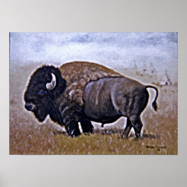 Poster Buffalo (Devant)