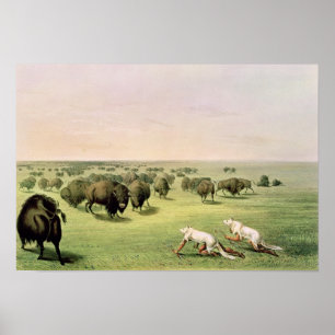 Poster Buffalo de chasse camouflé