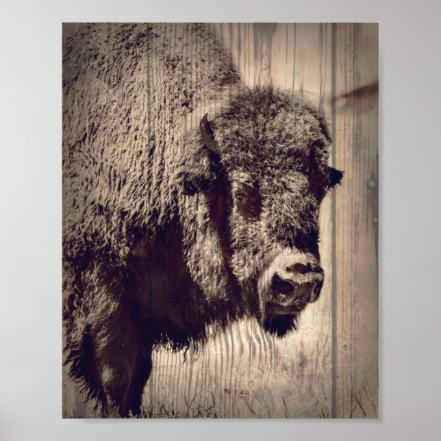 Poster Buffle de bois rustique Photo Wild Western (Devant)