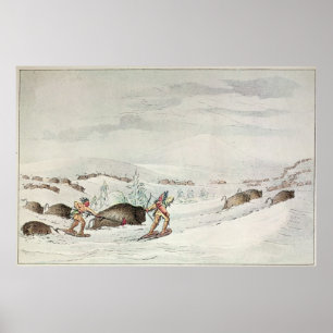 Poster Buffle de chasse sur des raquettes