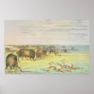 Poster Buffle de égrappage