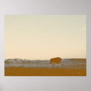 Poster Buffle Lone Rustique Photo Des Badlands