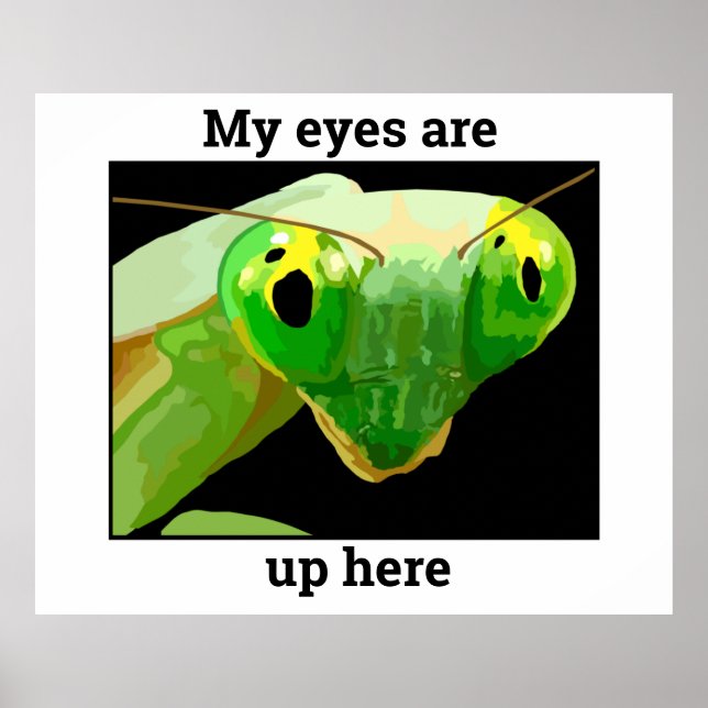 Poster Bug 2 (Devant)