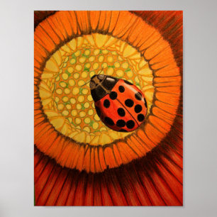 Poster Bug Rouge Sur Une Zinnia