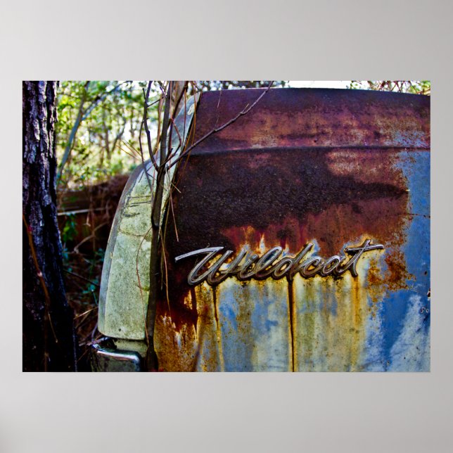 Poster Buick Wildcat (Devant)