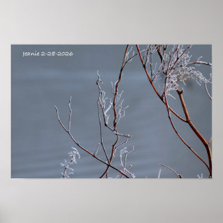 Poster Buisson givré
