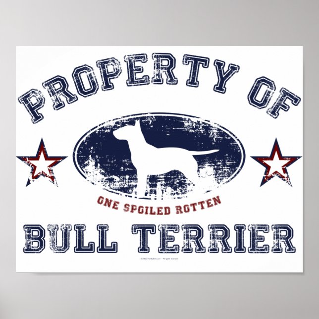 Poster Bull Terrier (Devant)