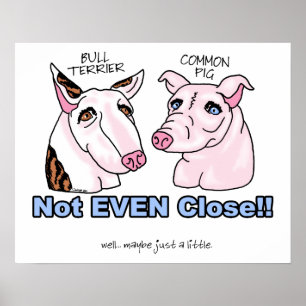 Poster Bull Terrier PAS un porc