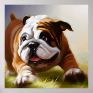 Poster Bulldog