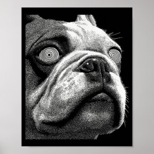 Poster Bulldog britannique hypnotique yeux bizarres weird