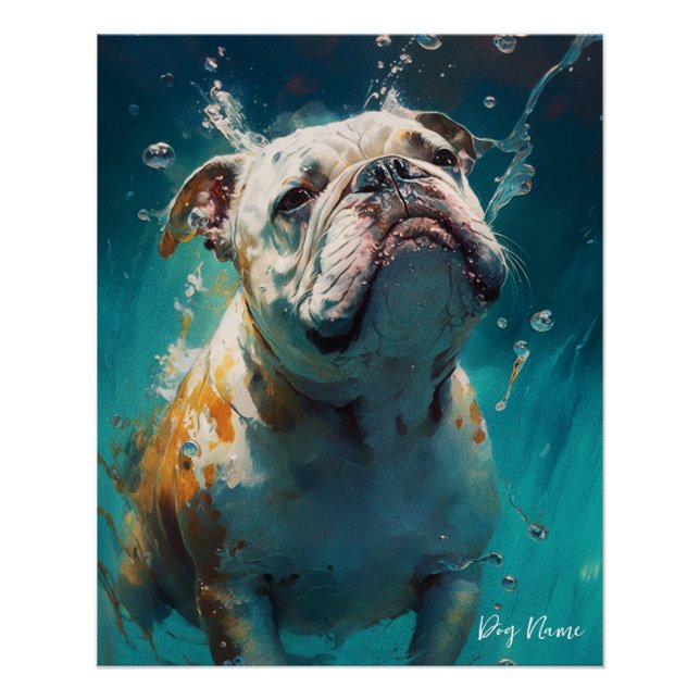 Poster Bulldog swimming in water 001 (Devant)