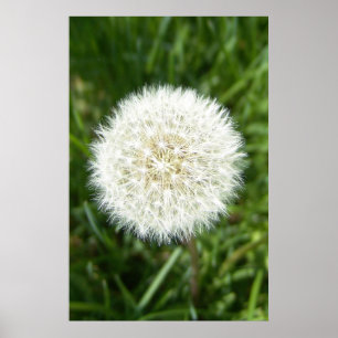 Poster bulle