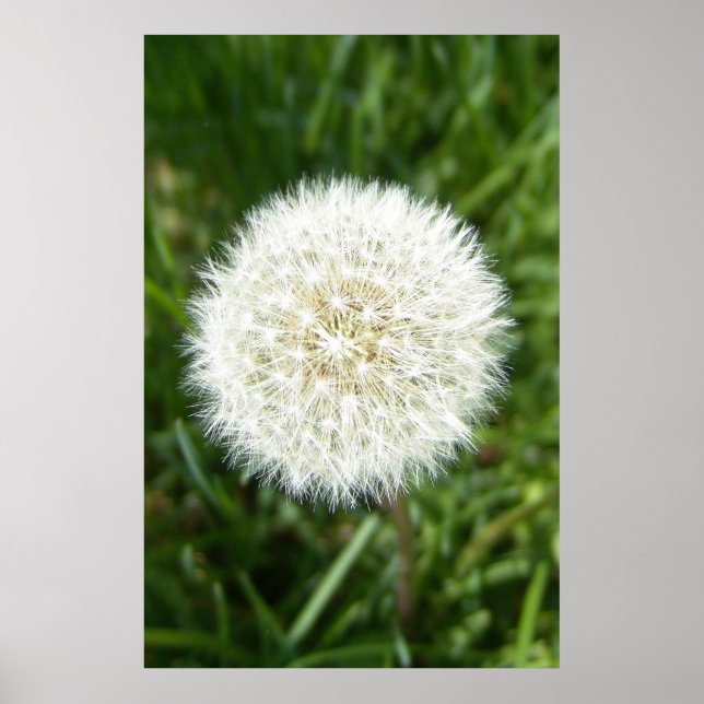 Poster bulle (Devant)