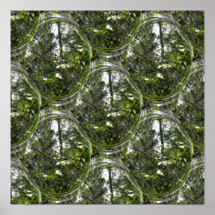 Poster Bulles de Dogwood....