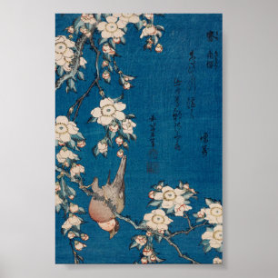 Poster Bullfinch sur une branche de cerise larvée par Hok