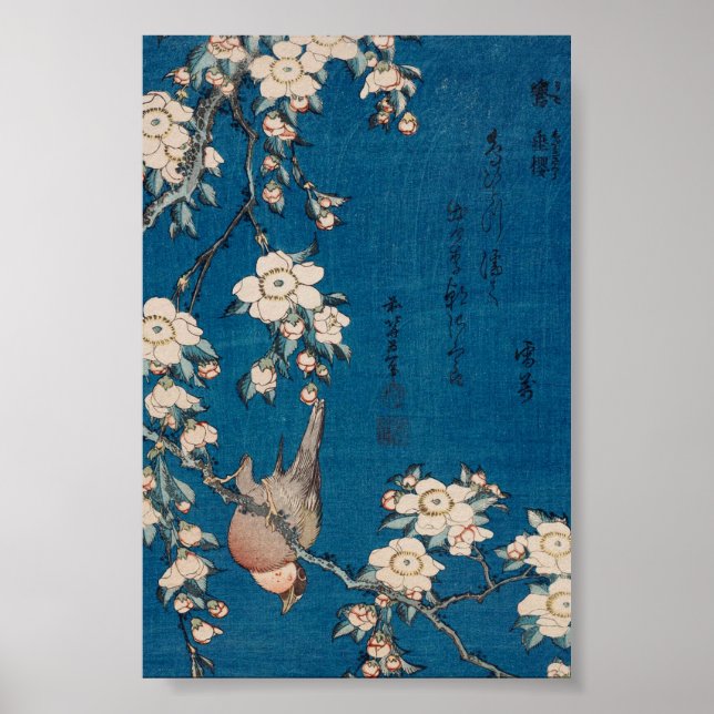 Poster Bullfinch sur une branche de cerise larvée par Hok (Devant)