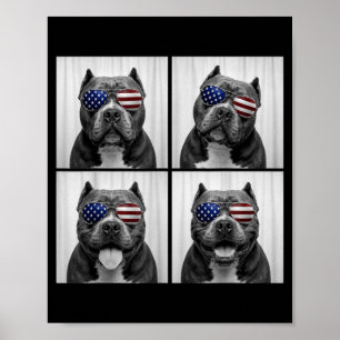 Poster Bully américain 4 juillet Drapeau américain Chien