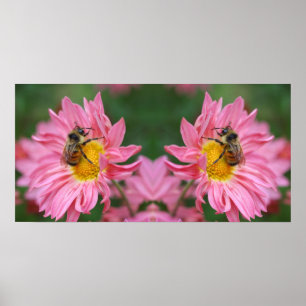 Poster Bumble Bee Sur Pink Daisy Flower Miroir Abstrait